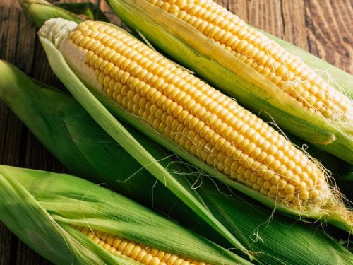 How to Store Corn on the Cob