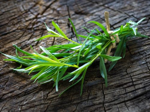a bunch of tarragon