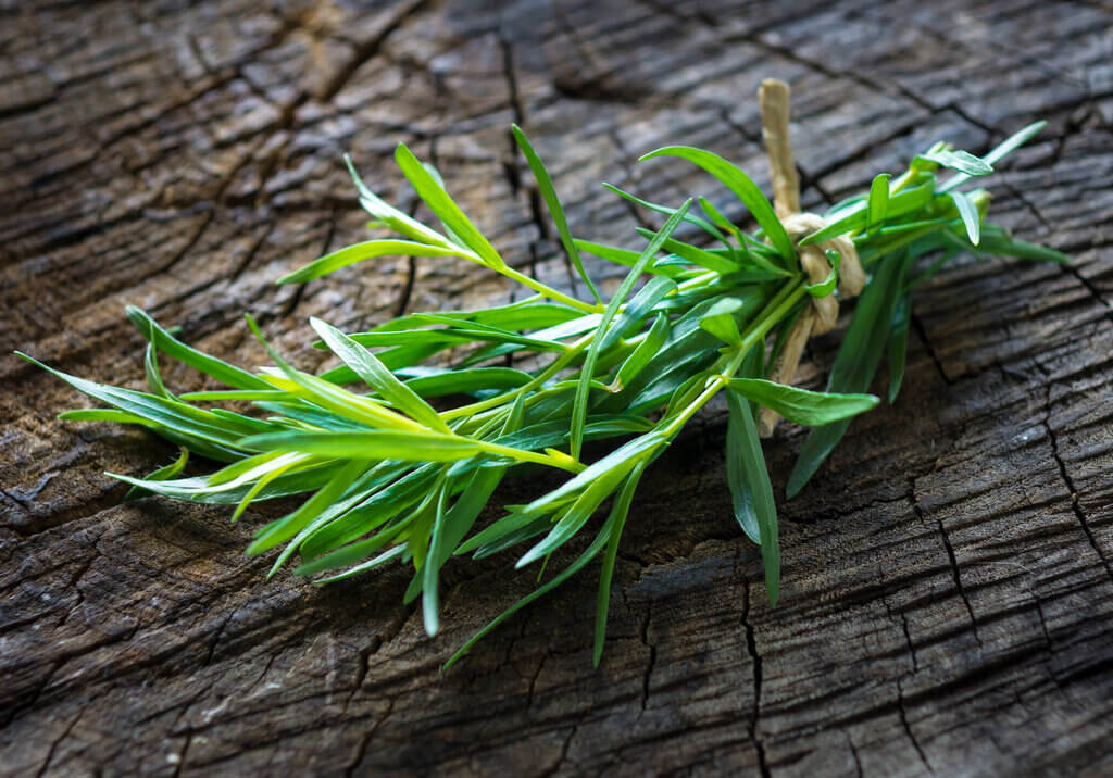 a bunch of tarragon