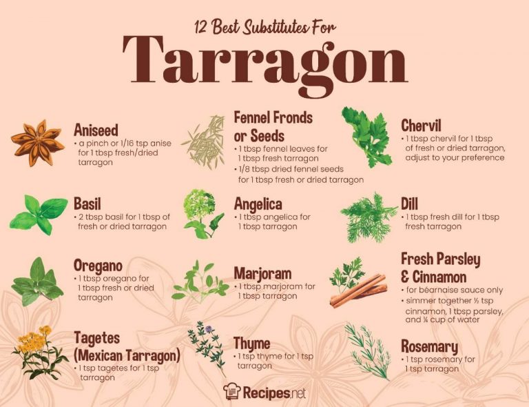 12 Best Tarragon Substitute Choices And How To Use Them