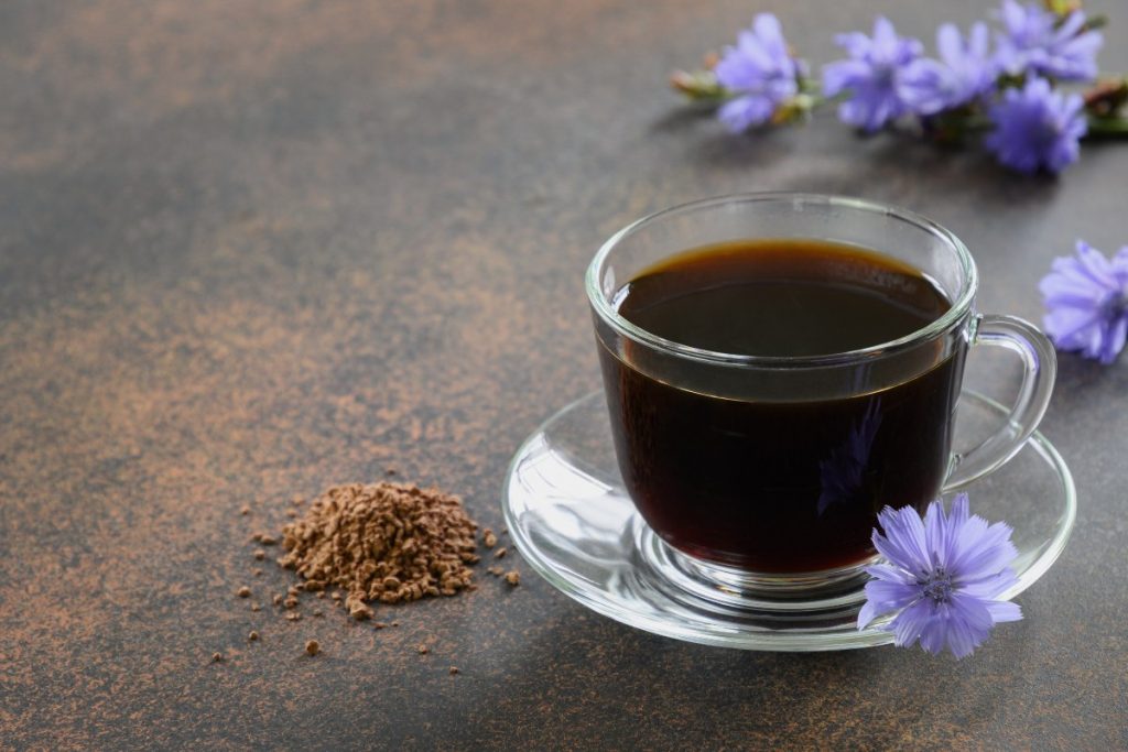 Cup of chicory coffee substitute with blue chicory flower