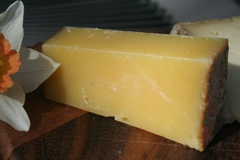 12 Best Gruyere Cheese Substitute Options to Try