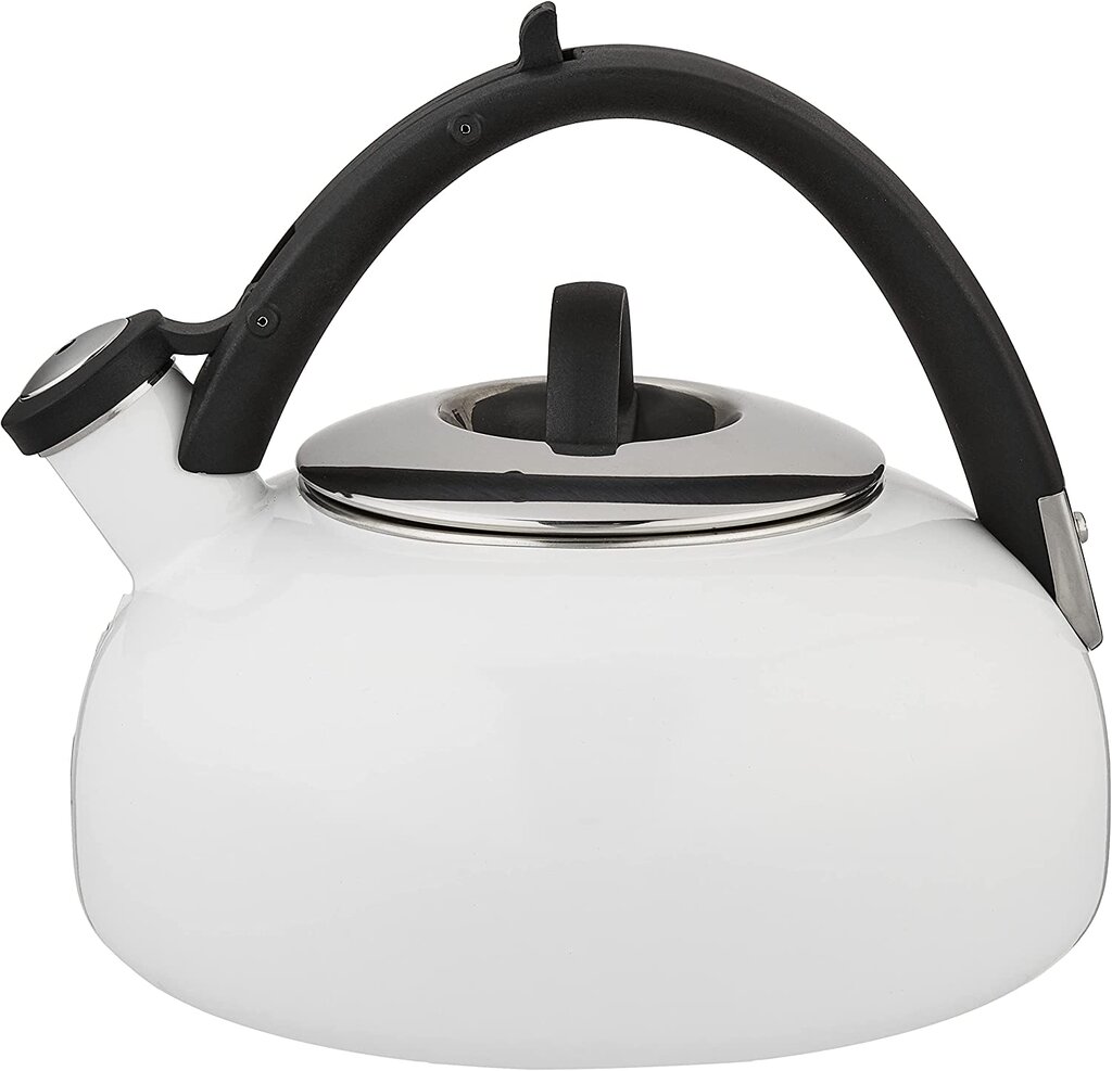 The Best Tea Kettle in 2021 12 Top Picks and A Buying Guide