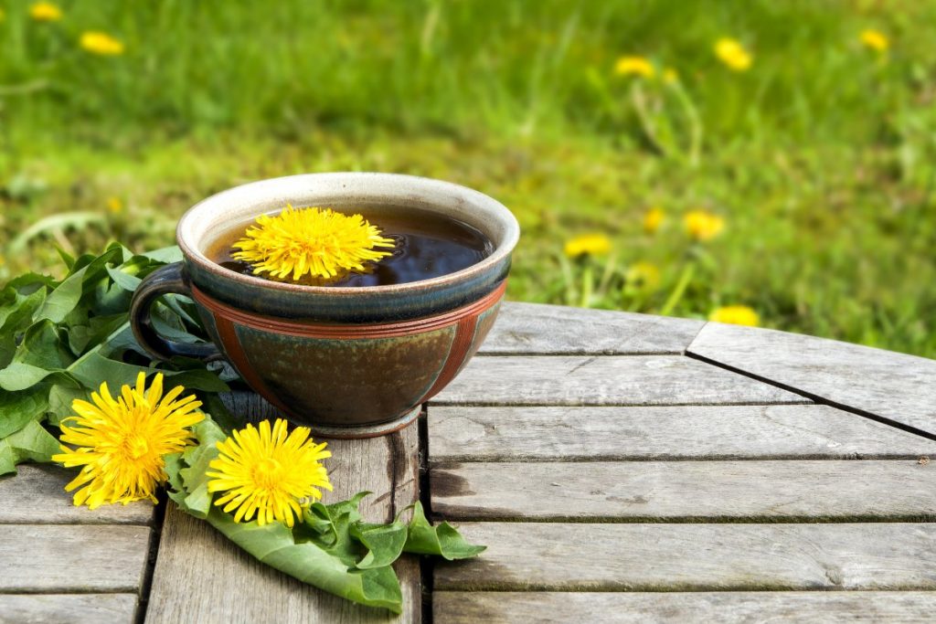 dandelion-coffee