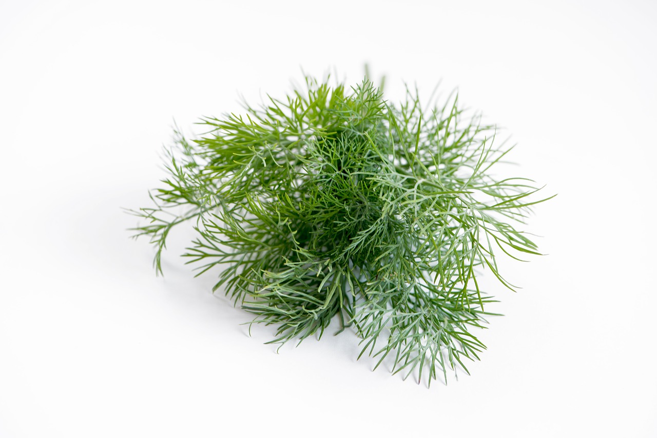 12 Best Tarragon Substitute Choices And How To Use Them