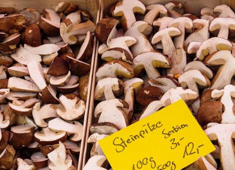Porcini Mushrooms What Are They and How to Use Them in Cooking