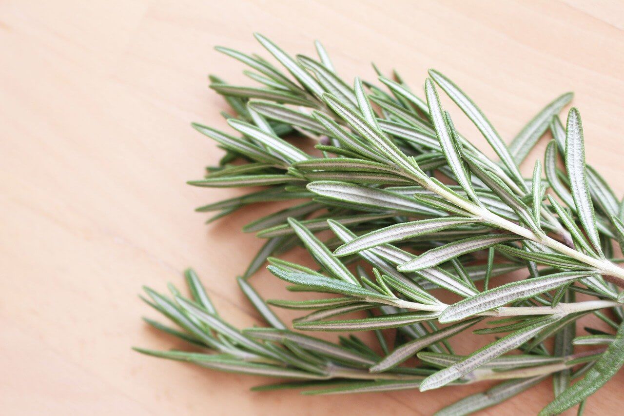 12 Best Tarragon Substitute Choices And How To Use Them