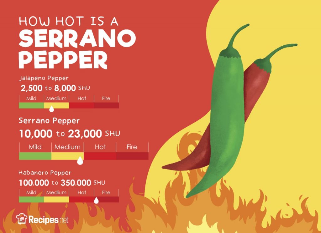 Serrano Pepper: How Hot Is It and How to Use It in Cooking