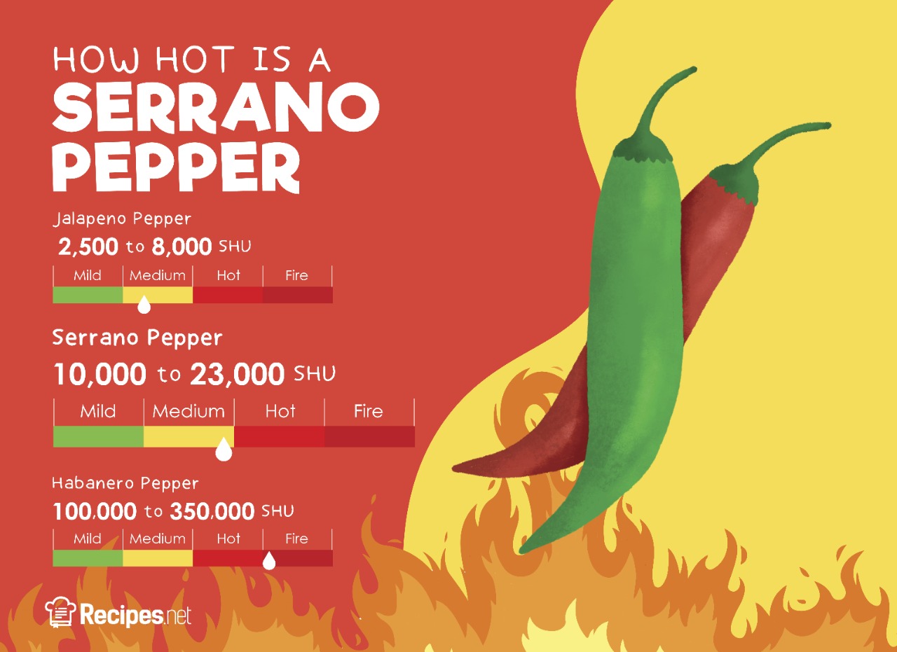 Serrano Pepper: How Hot Is It And How To Use It In Cooking - Recipes.net