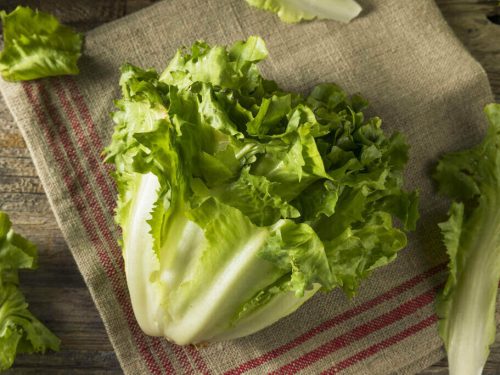 raw organic escarole, What Is Escarole