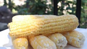 cooler-corn-recipe