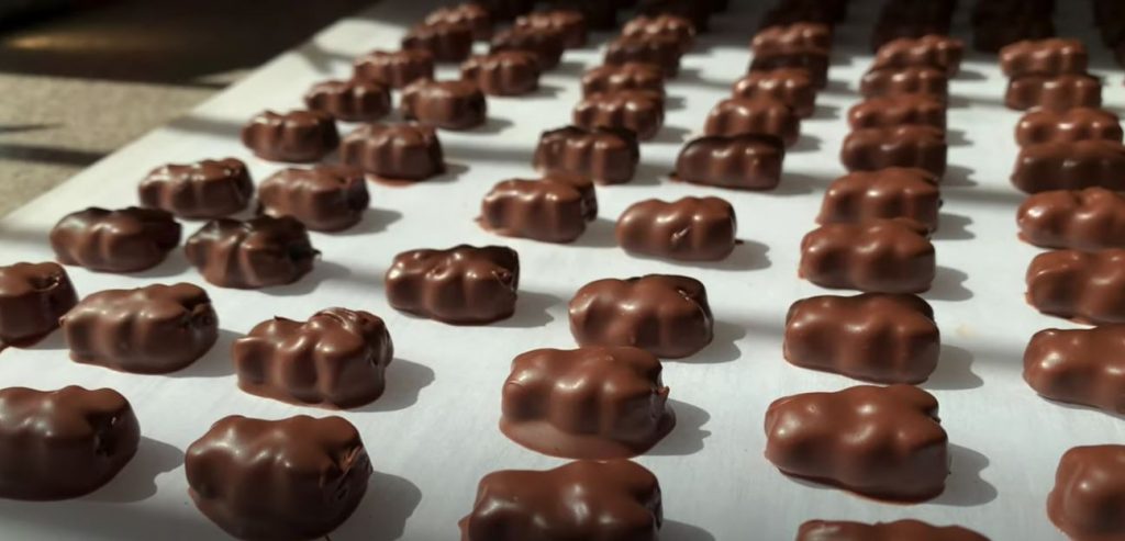 chocolate-covered-gummy-bears-recipe