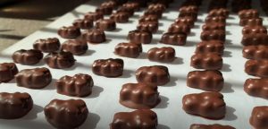 chocolate-covered-gummy-bears-recipe