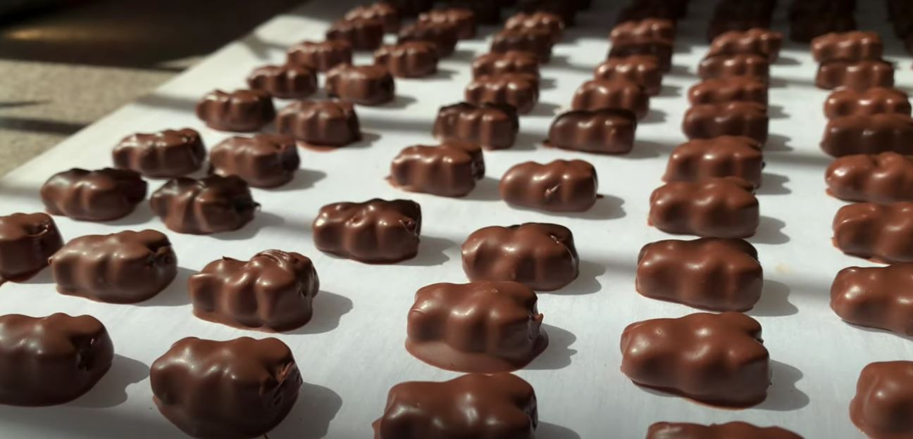 Chocolate Covered Gummy Bears Recipe 