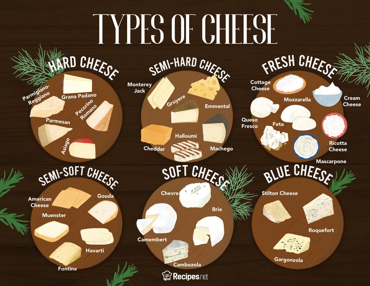 The Many Different Types of Cheese