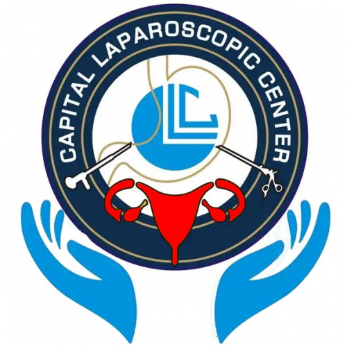 How To Grill Pizza On er Gas Grill