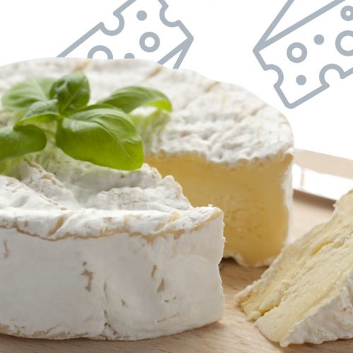 Best Brie Cheese Recipes