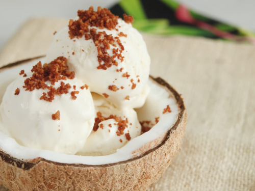 coconut-ice-cream-recipe