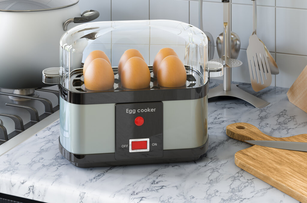 DASH Rapid Egg Cooker: 6 Egg Capacity Electric Egg Cooker for Hard Boiled  Eggs, Poached Eggs, Scrambled Eggs, or Omelets with Auto Shut Off Feature 