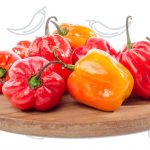 habanero pepper recipes