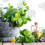 herbs recipes