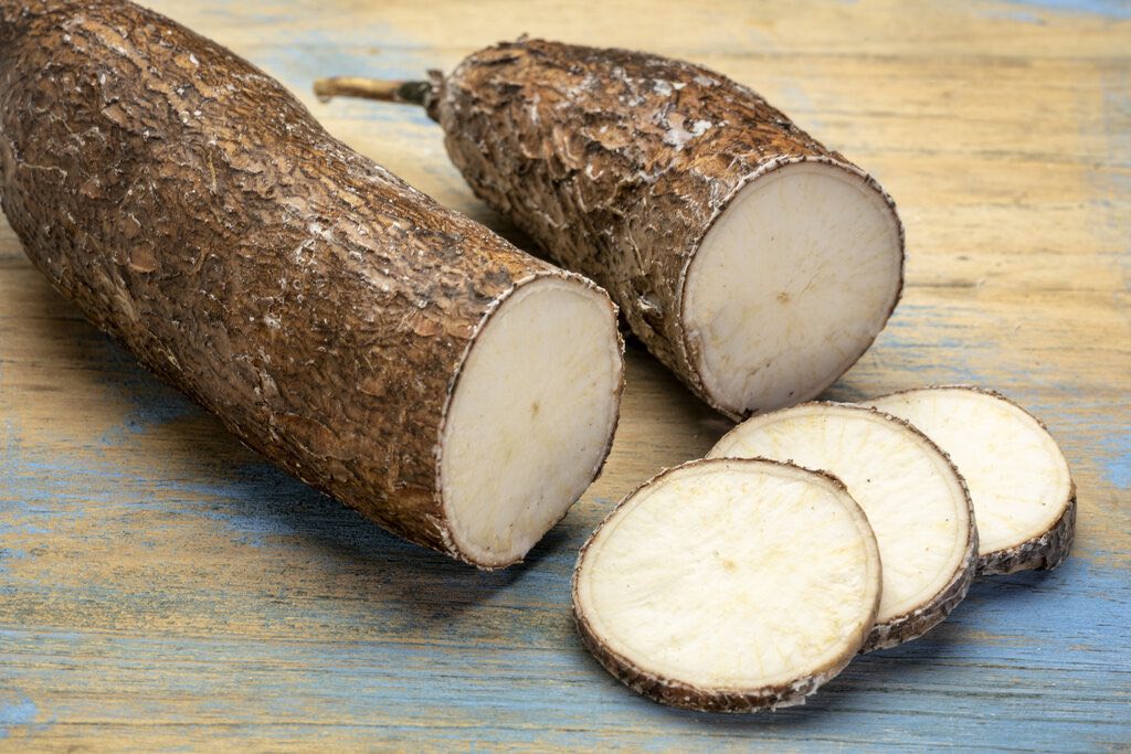 cassava images