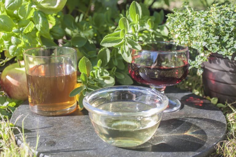 11 White Wine Vinegar Substitutes for Cooking