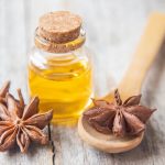 anise extract recipes