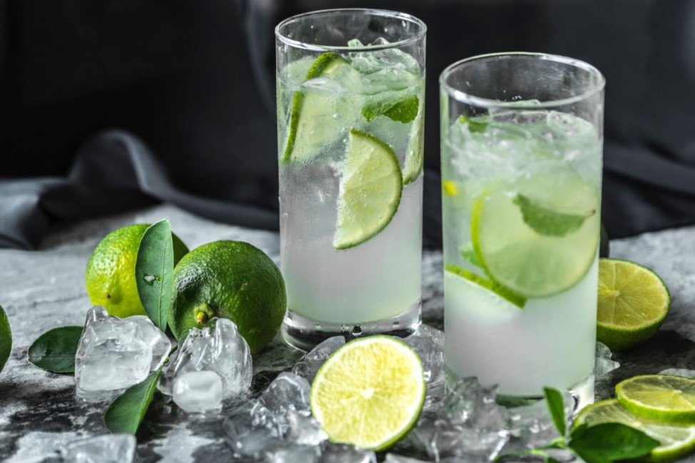 Gin and Tonic Recipe