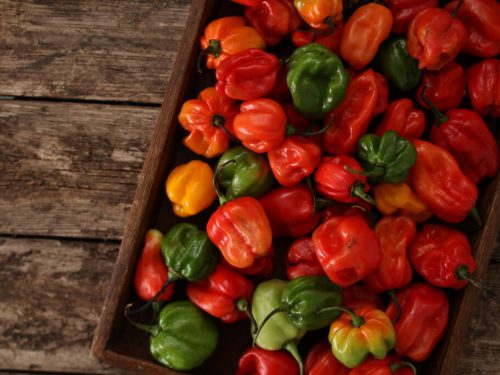 variety of scotch bonnet peppers in a crate