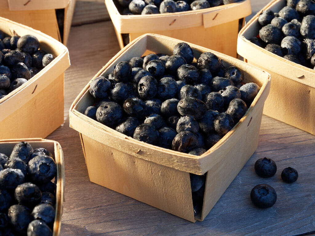 reshly picked blueberries in a pint