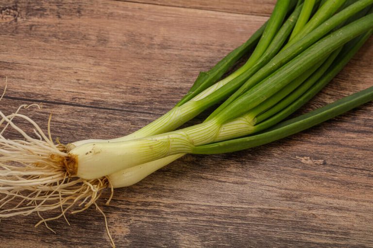 Chives vs Green Onions vs Scallions What's the Difference?