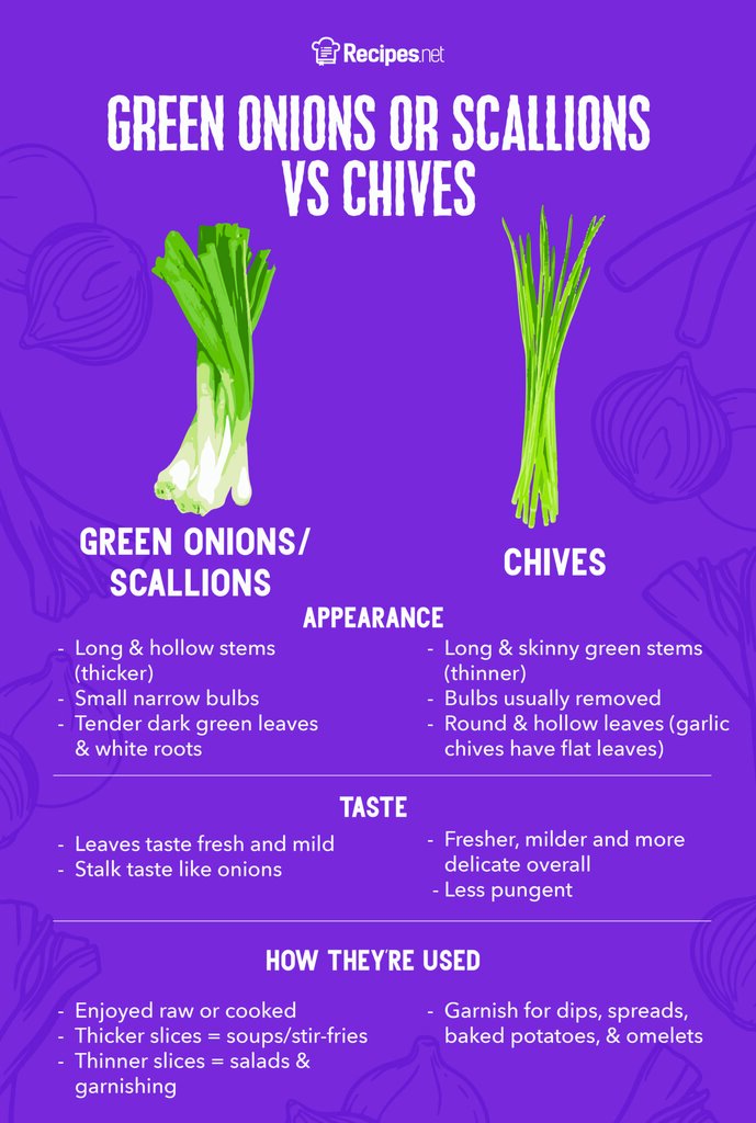 Chives Vs. Green Onions – Chives And Green Onions Differences