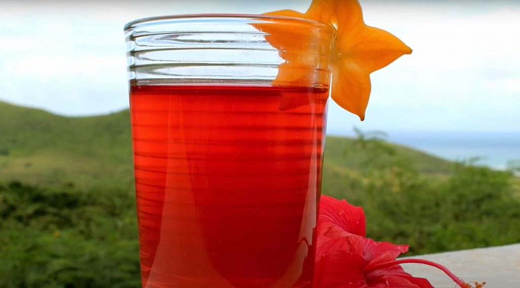 Hibiscus-Tea-Recipe