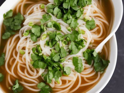 Instant Pot Vietnamese Pho Recipe