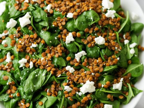 Lentil and Spinach Salad