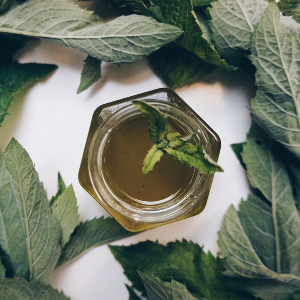 Mint-Syrup-Recipe