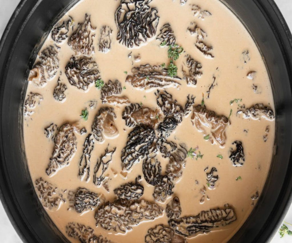 Morel Mushroom Cream Sauce Recipe