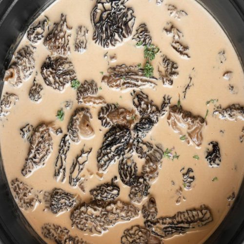 Morel Mushroom Cream Sauce Recipe Recipe