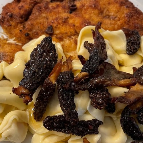 Sautéed Morel Mushrooms Recipe Recipe | Recipes.net