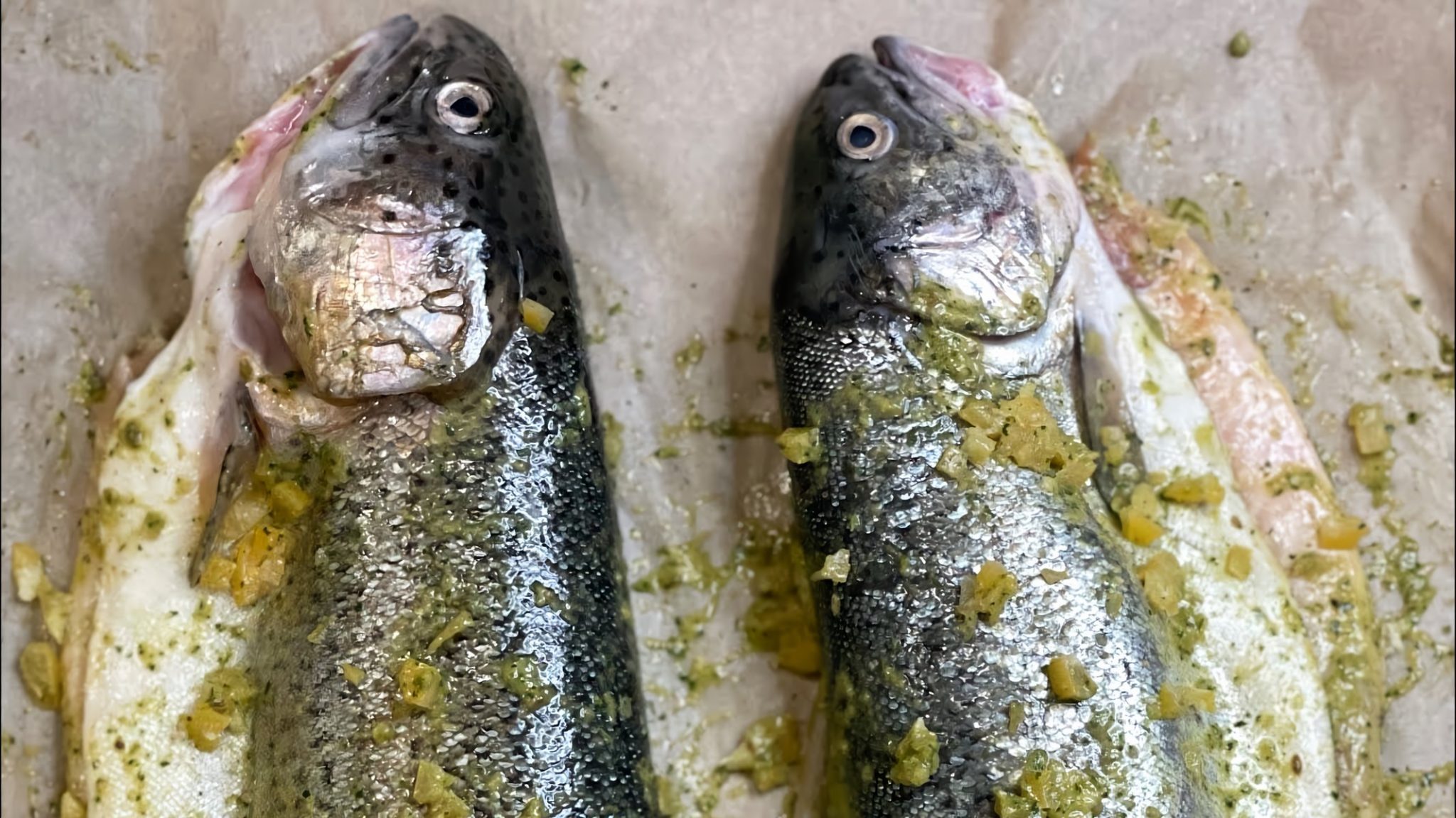 BBQ Sardines with Chermoula Sauce Recipe