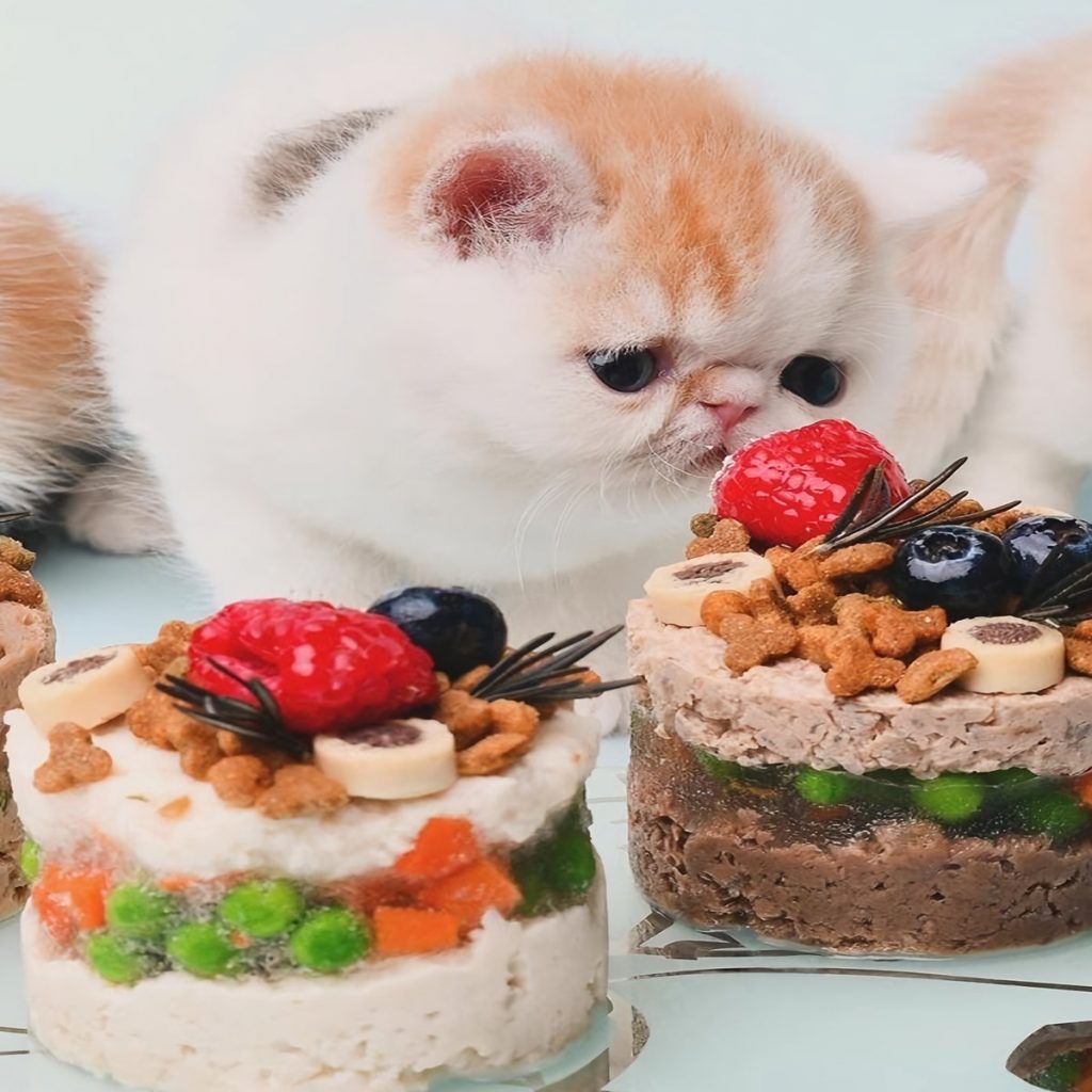 Birthday Cake for Your Cat