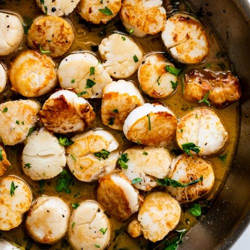 Scallops With Mushrooms And White Wine Recipe