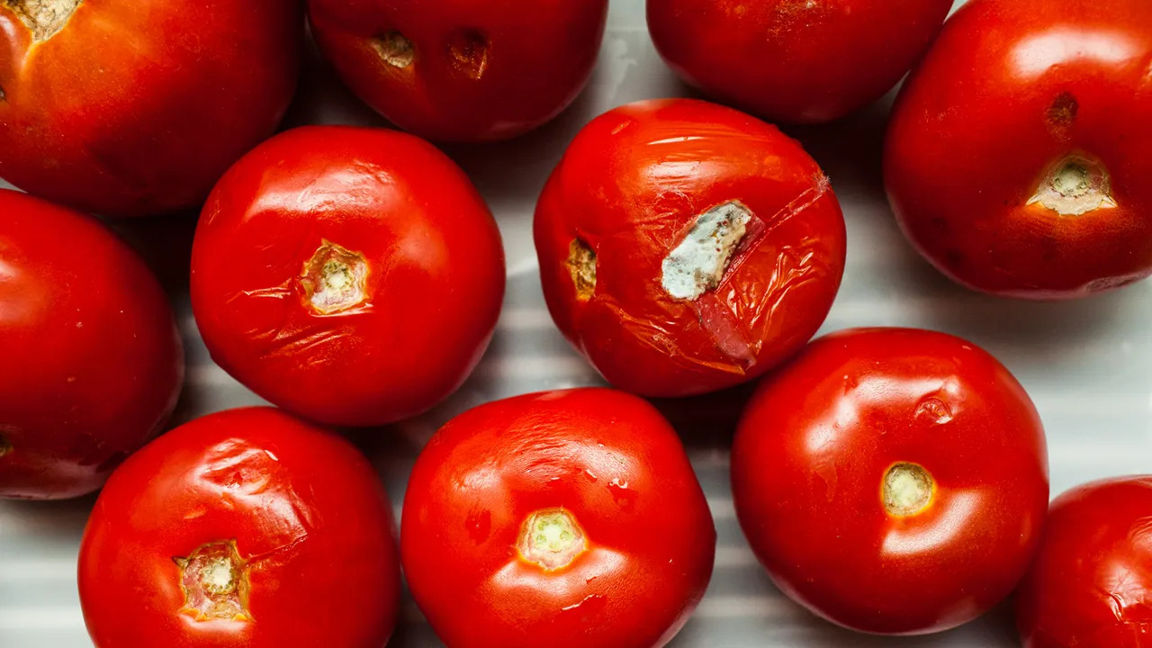 10-ways-to-cook-with-ugly-tomatoes