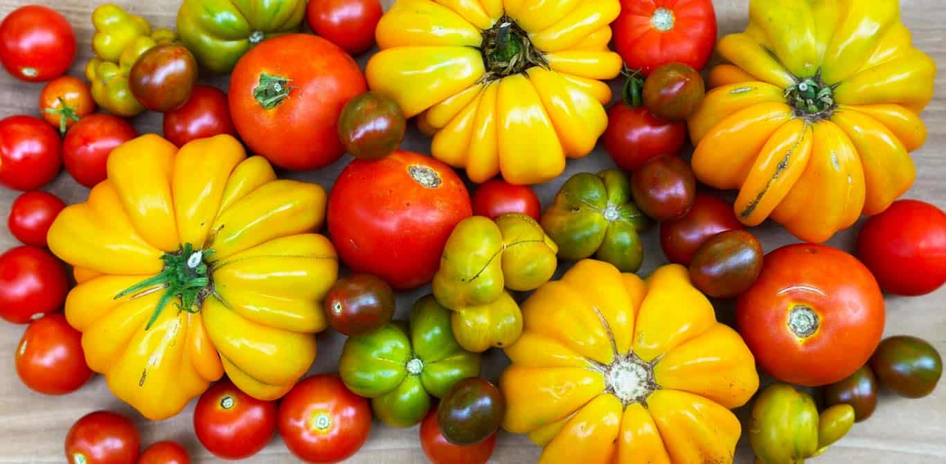 11-things-to-know-when-buying-and-cooking-with-tomatoes