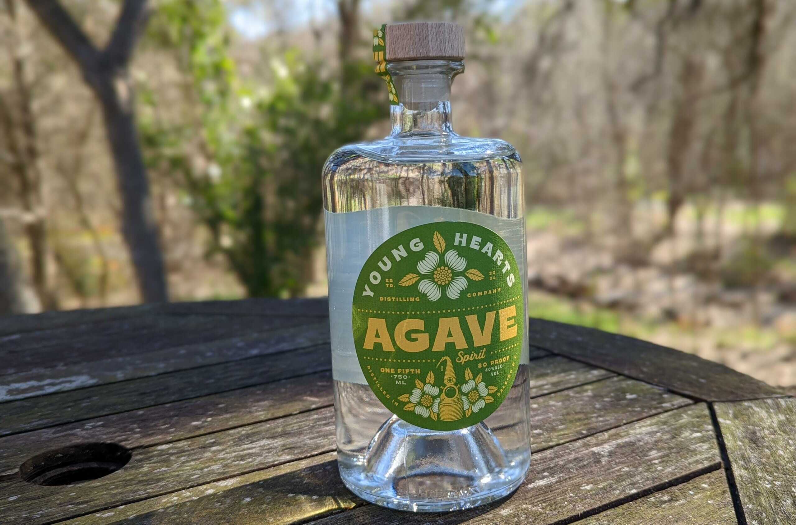 all-about-agave-spirits