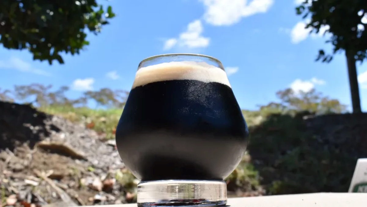 homebrewing-how-to-brew-dry-stout