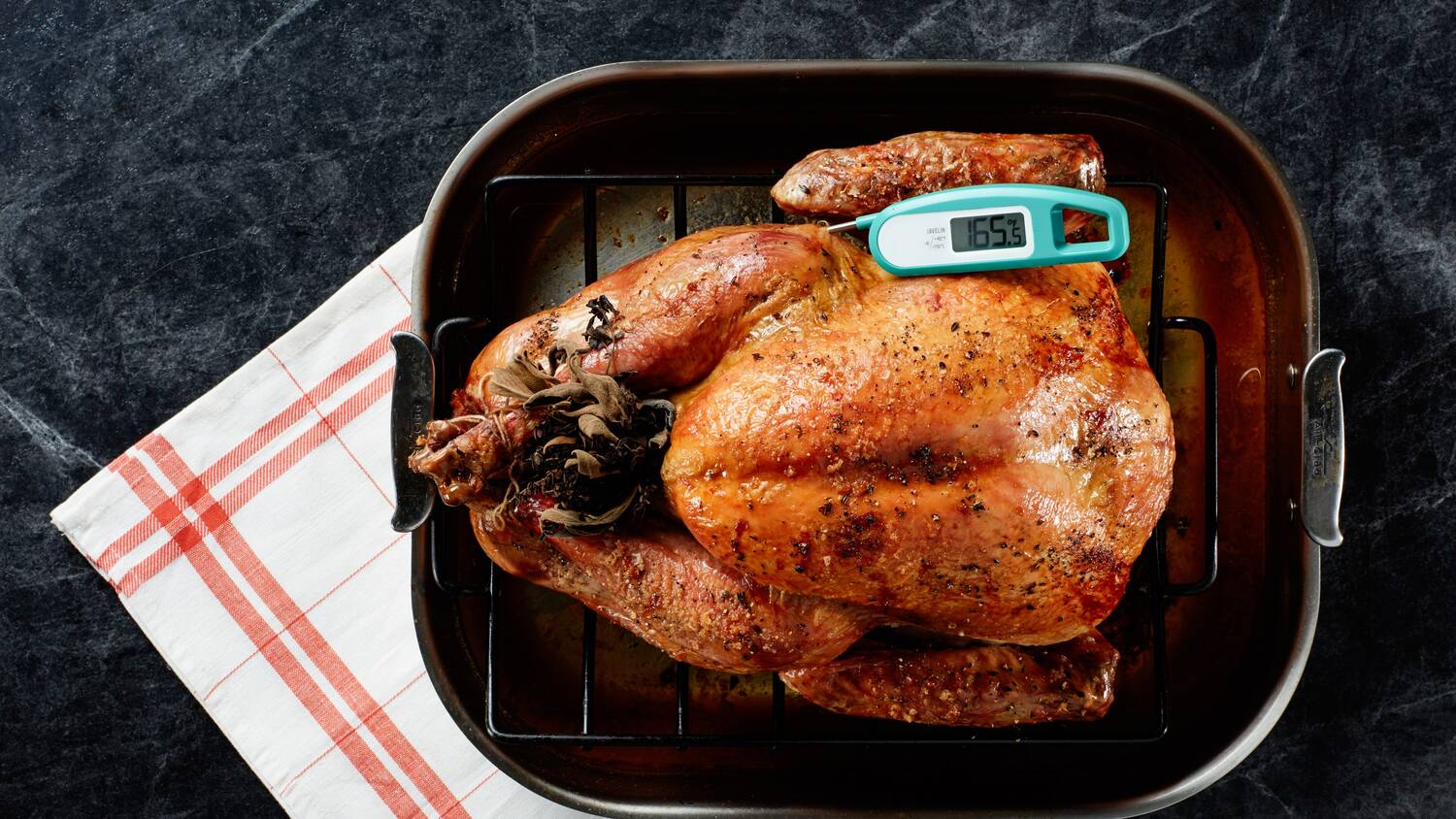Check a Turkey's Temperature with a Meat Thermometer  Turkey temperature,  Thanksgiving cooking, Turkey cooking times