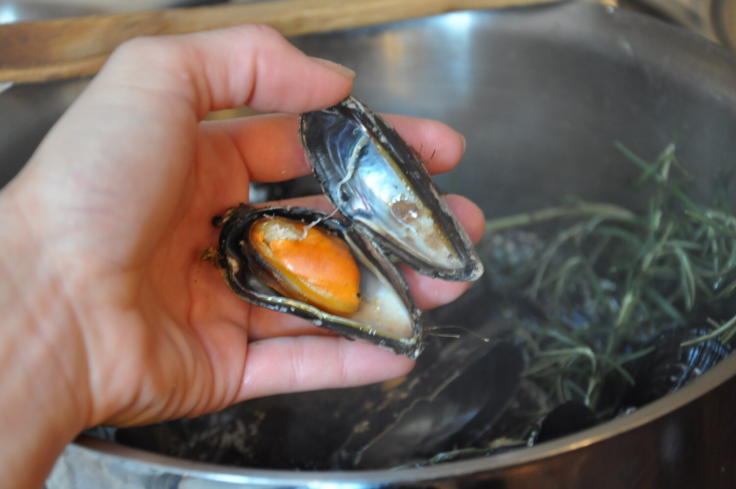 how-to-clean-and-debeard-mussels