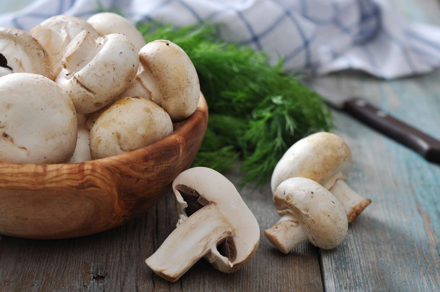 How to Clean and Store Mushrooms A StepbyStep Guide